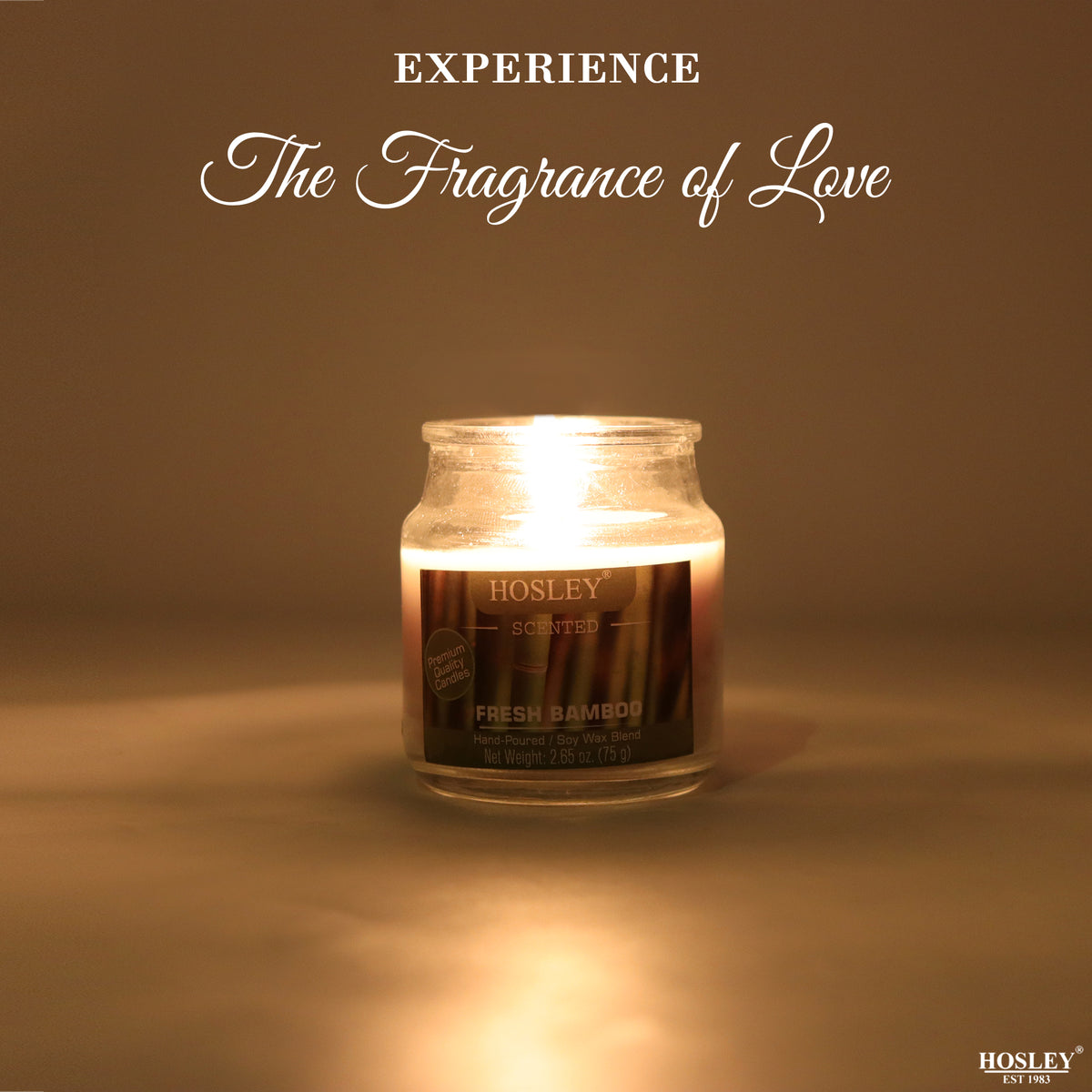 Hosley Fresh Bamboo Fragranced Jar Candle – 2.65 Oz