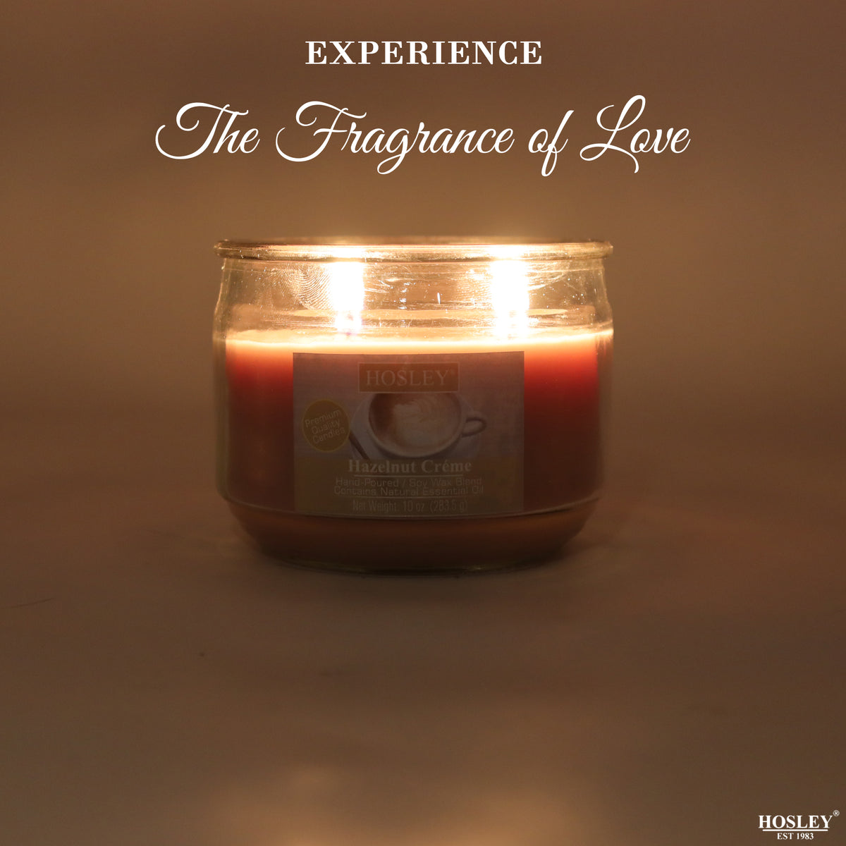 Hosley® Hazelnut Creme Highly Fragranced, 2 Wick, 10 Oz wax, Jar Candle