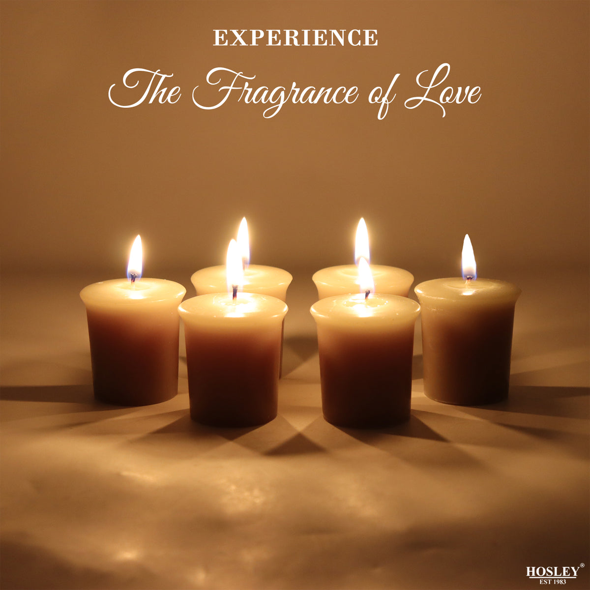 Set of 6 Hosley® 15 Hour Burn Time Each, Fresh Bamboo Highly Fragranced Votive Candles