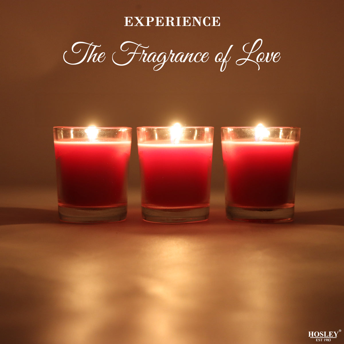 Set of 3 Hosley® Highly Fragranced Apple Cinnamon Filled Glass Candles, 1.6 Oz wax each
