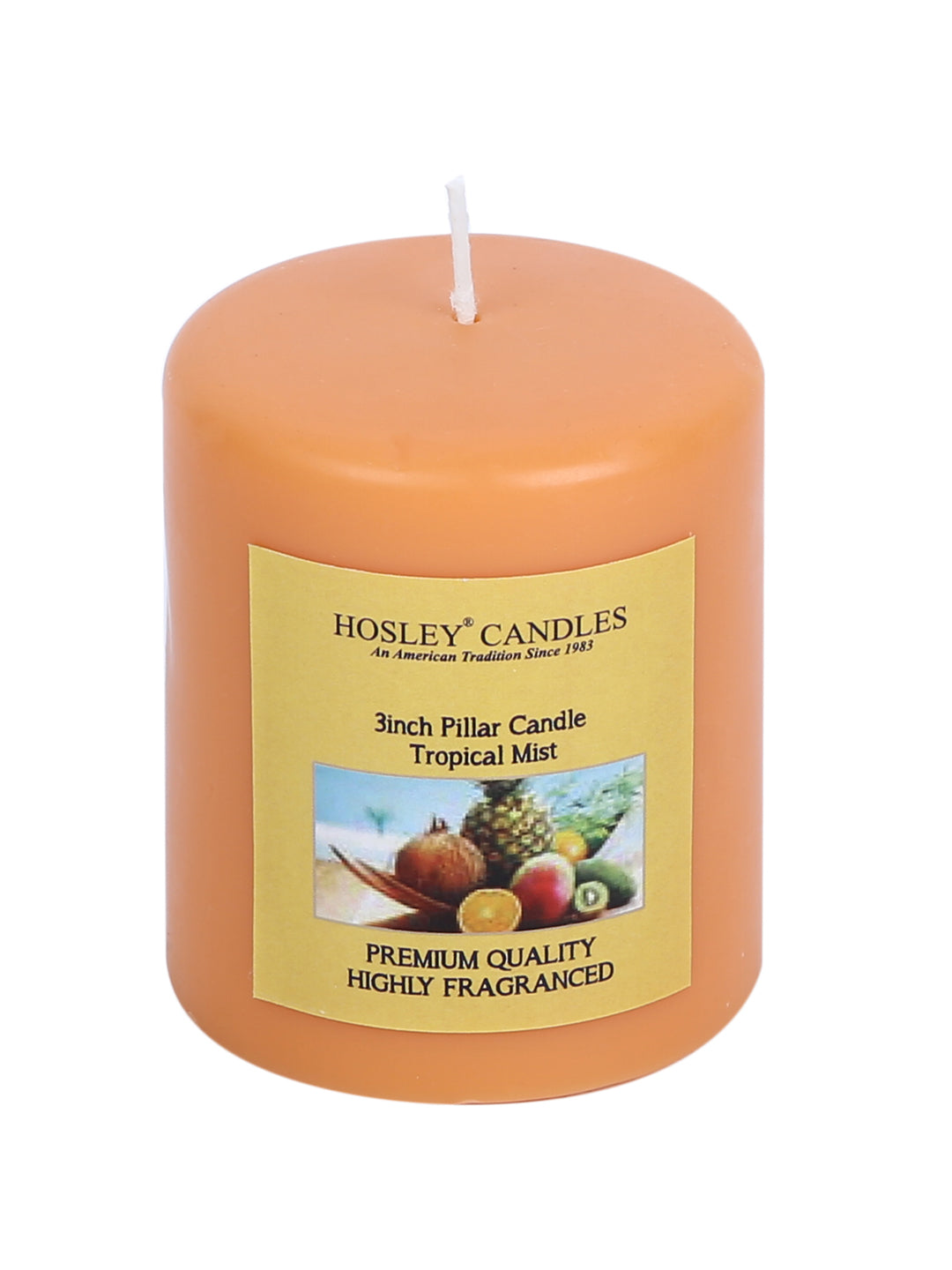 Hosley Set of 2 Tropical Mist 3Inchs Pillar Candles