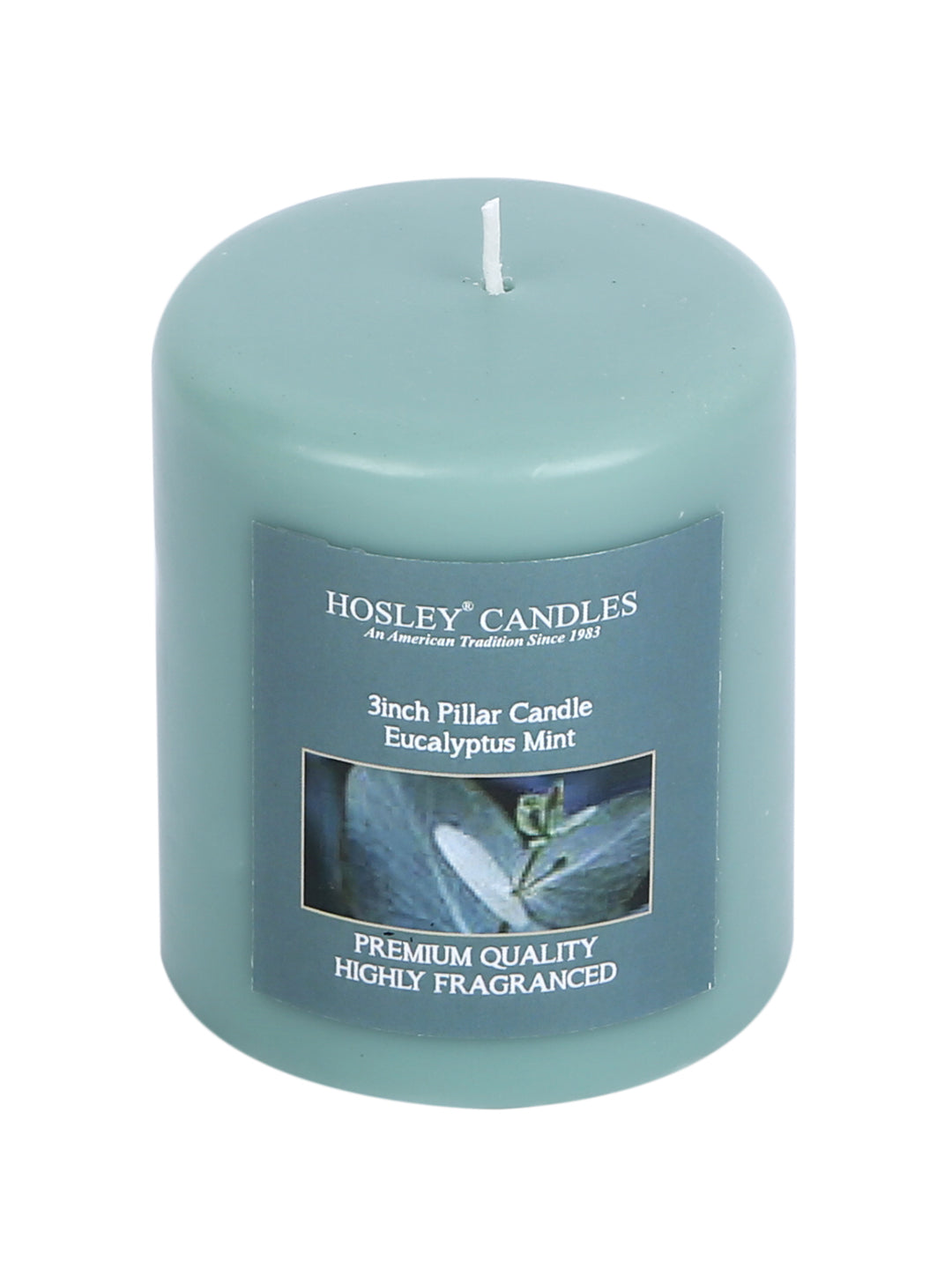 Hosley Set of 2 Eucalyptus Mint 3Inchs Pillar Candles