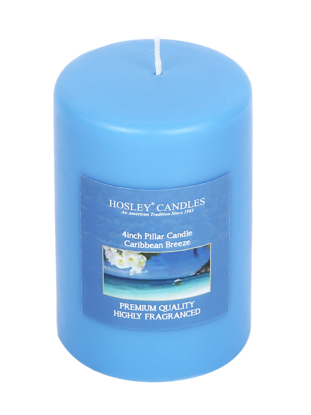 Hosley Set of 2 Caribbean Breeze 4Inchs Pillar Candles