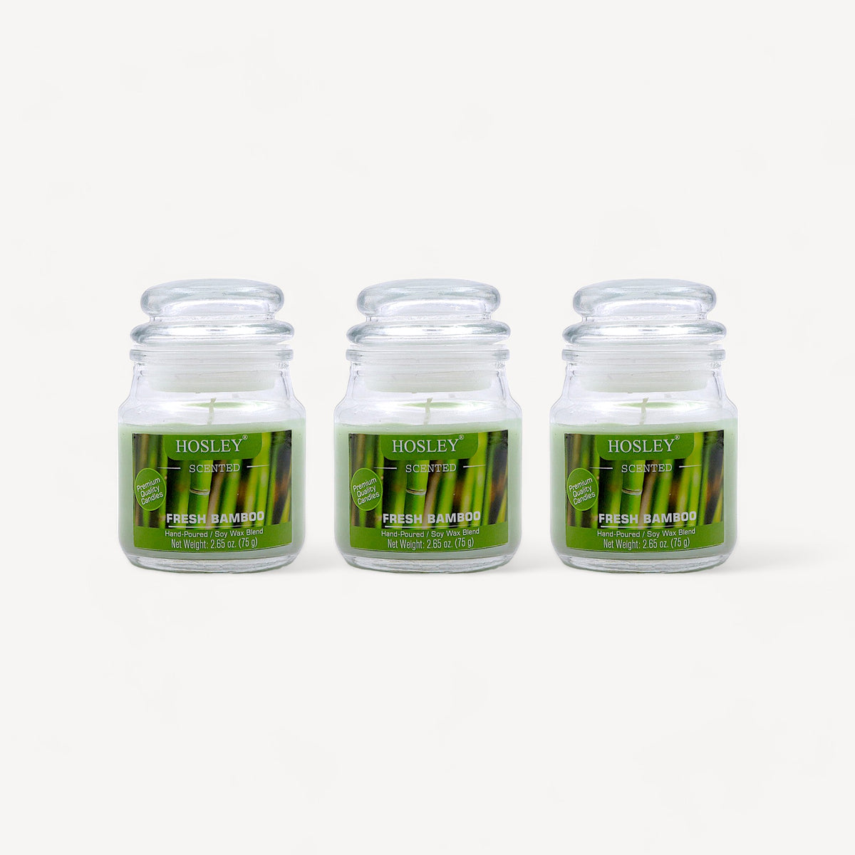Hosley Fresh Bamboo Fragranced Jar Candles – Set of 3, 2.65 Oz Each