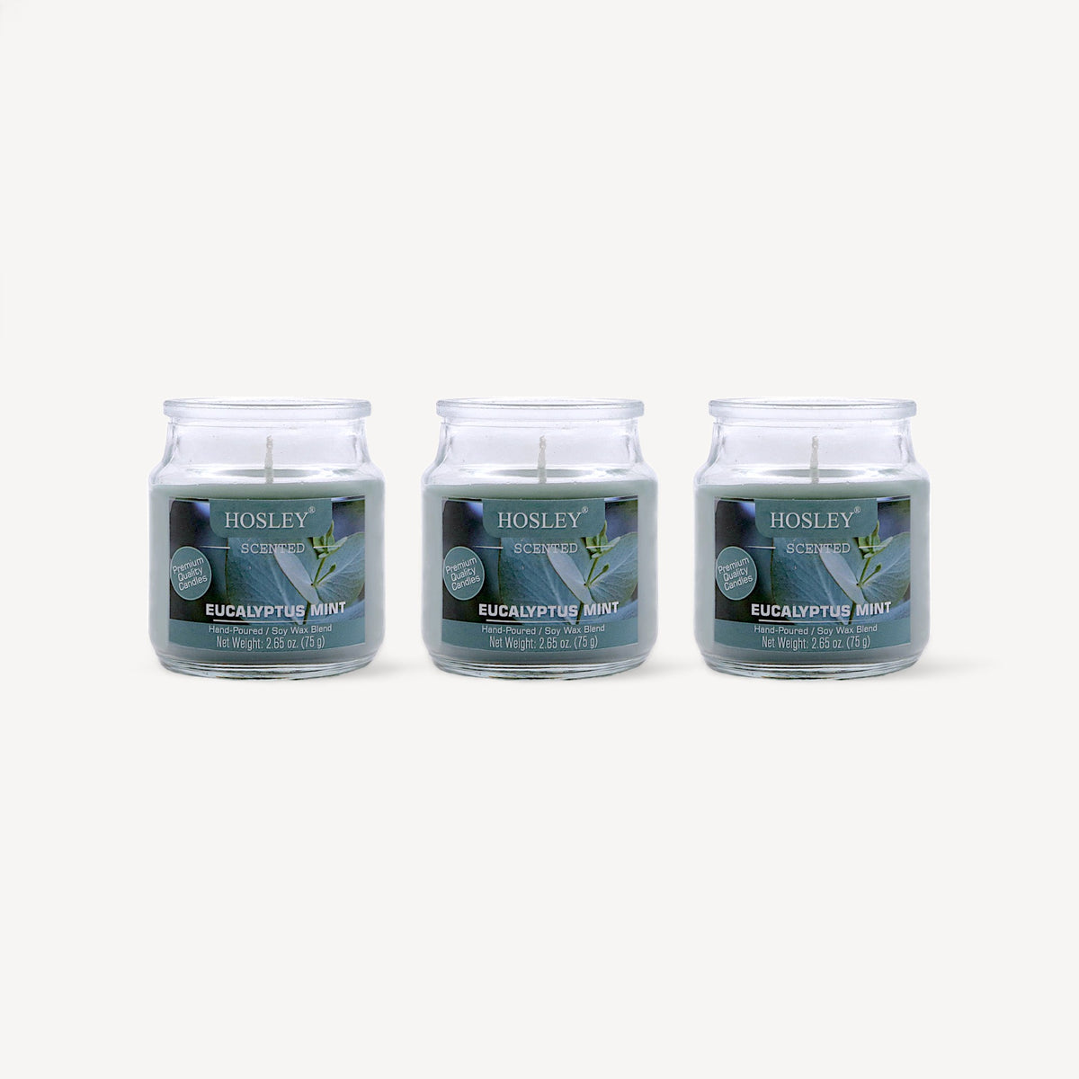 Hosley Eucalyptus Mint Fragranced Jar Candles – Set of 3, 2.65 Oz Each