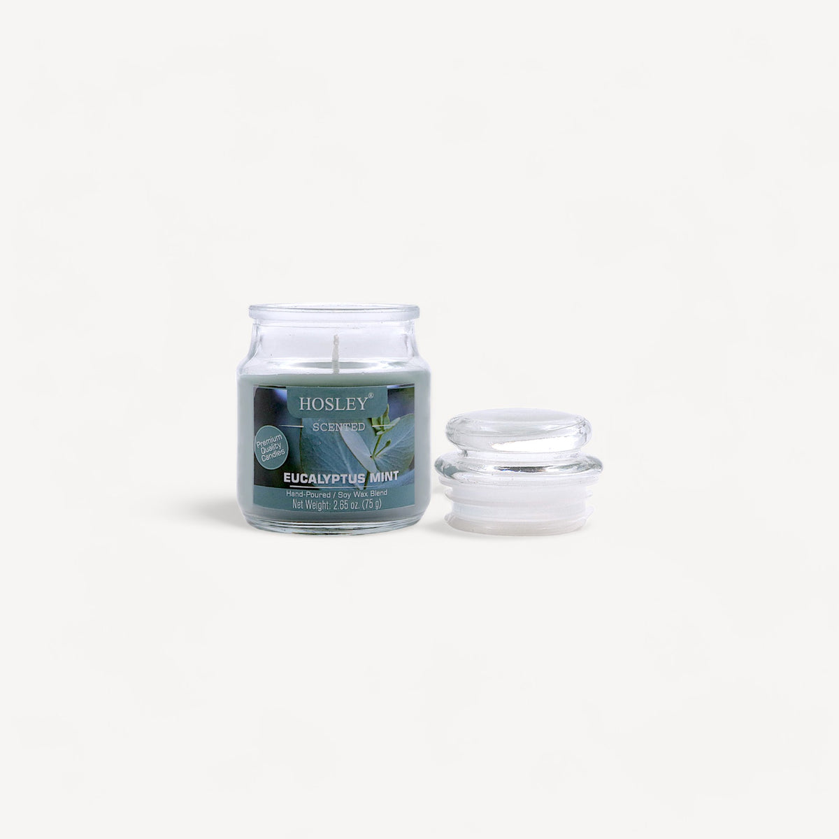Hosley® Eucalyptus Mint Highly Fragranced, 2.65 Oz wax, Jar Candle