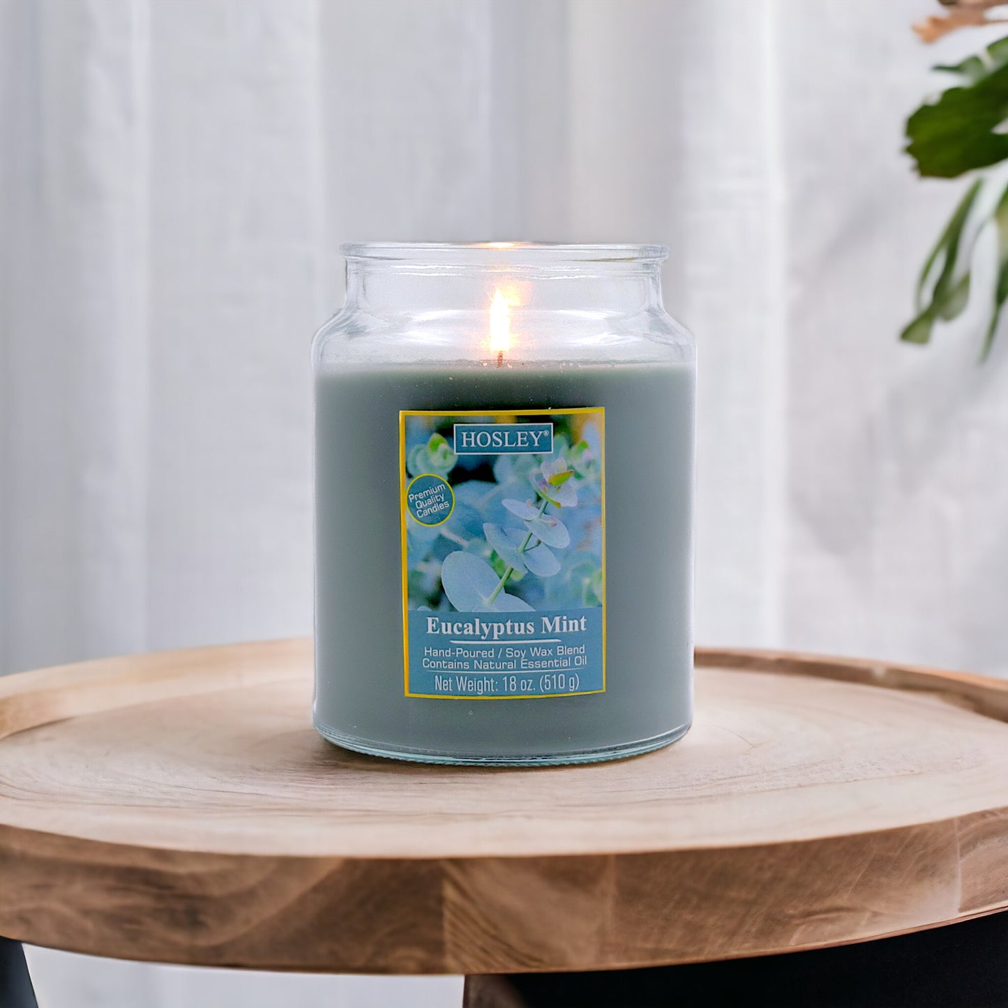 Hosley® Eucalyptus Mint Highly Fragranced, 18 Oz wax, Large Jar Candle
