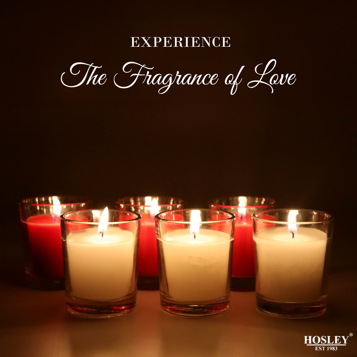 Hosley Set of 6 Unscented Colored Glass Votive Candles