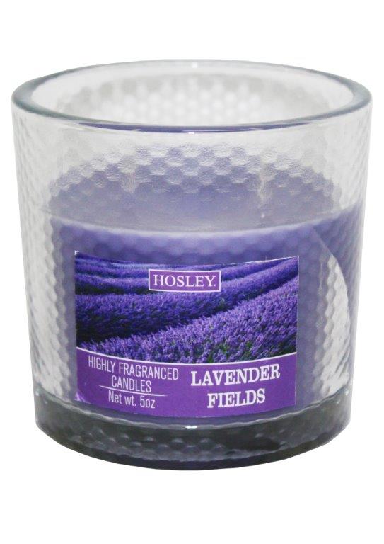 Hosley 2 Wick Lavender Field Fragrance Glass Candle for Home Décoration / Festive/ Wedding/ Party / Birthday