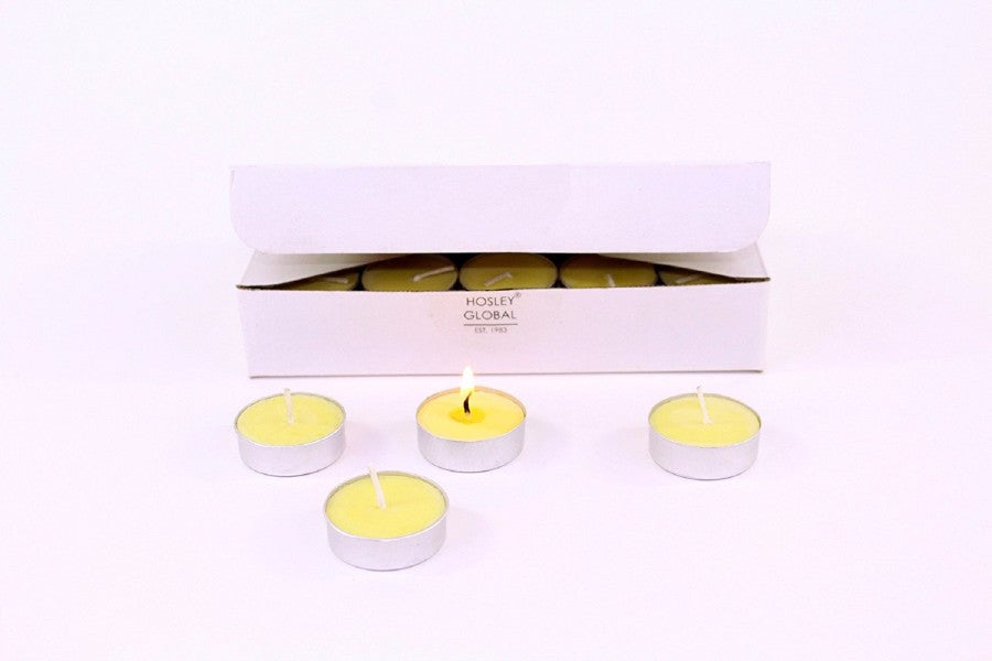 Hosley Highly Fragranced Citronella Tea Light Candles (Set of 30)