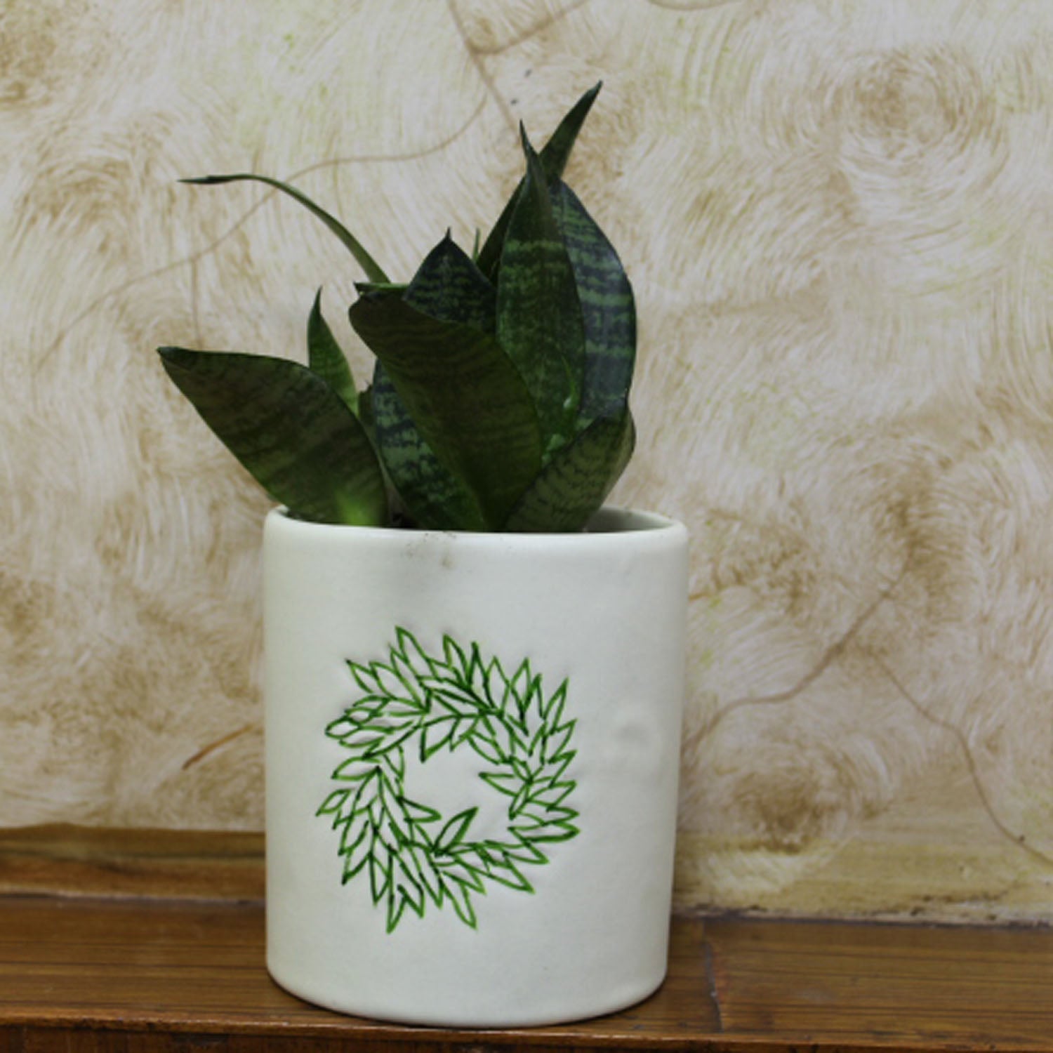 ceramic flower pots india Hosley Ceramic Sansevieria Planter Pot