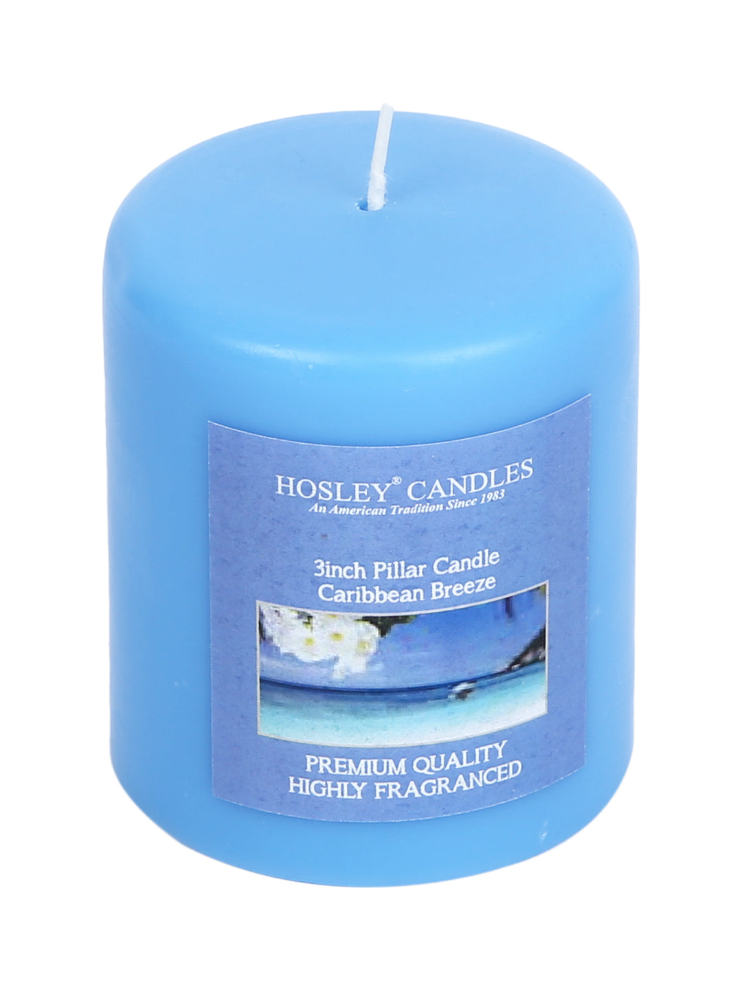 Hosley Set of 2 Caribbean Breeze 3Inchs Pillar Candles