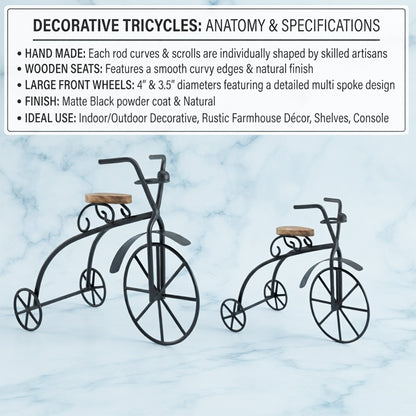 Set of 2 Decorative Metal Bicycle Showpiece