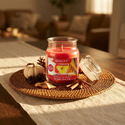 Hosley Apple Cinnamon Fragranced Jar Candle – 2.65 Oz
