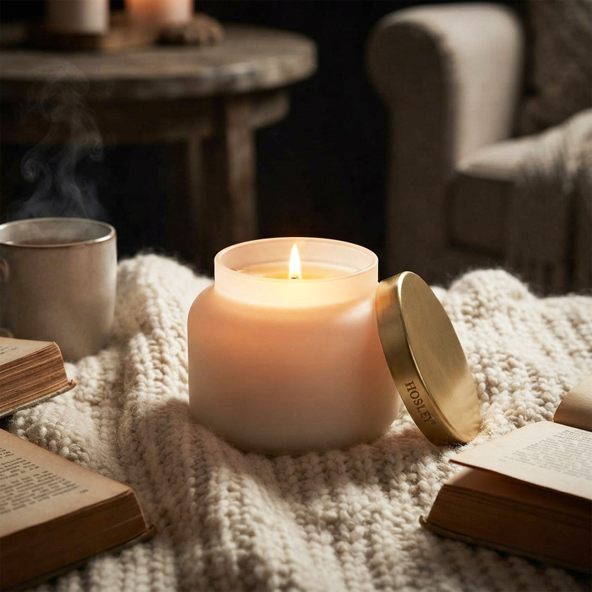 HOSLEY Vanilla Frosted Glass Scented Jar Candle,Pack of 1