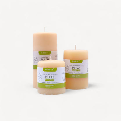 Hosley Set 3 Decorative Cinnamon Highly fragranced Pillar Candle