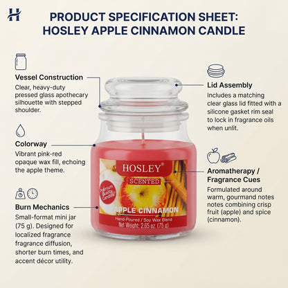 Hosley Apple Cinnamon Fragranced Jar Candle – 2.65 Oz