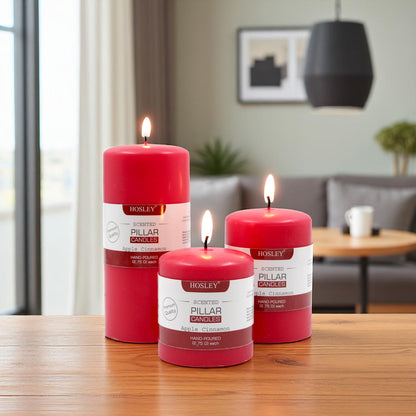 Hosley Set 3 Decorative Cinnamon Highly fragranced Pillar Candle