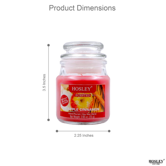 Hosley® Apple Cinnamon Jar Candles - Set of 6
