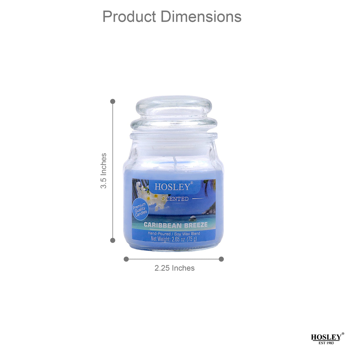 Hosley® Caribbean Breeze Highly Fragranced, 2.65 Oz wax, Jar Candle