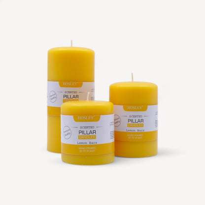 Hosley® Lemon Bar Fragrance Pillar Candles - Set Of 3