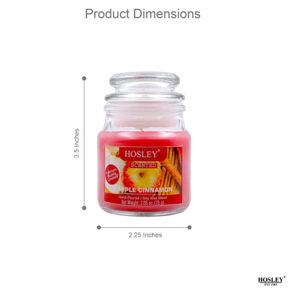 Hosley Set of 2 Apple Cinnamon 2.65 Oz (75g)