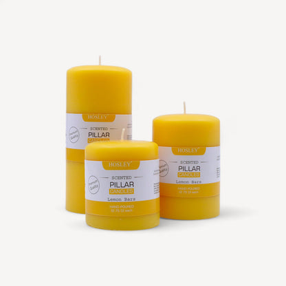 Hosley Set 3 Decorative Cinnamon Highly fragranced Pillar Candle