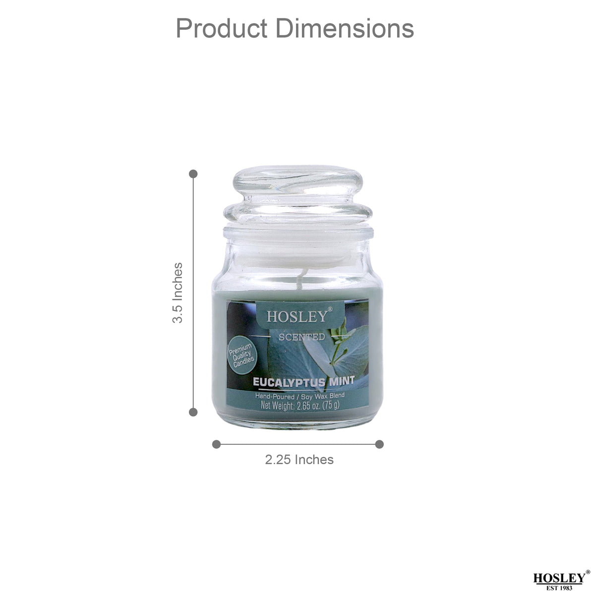 Hosley Eucalyptus Mint Fragranced Jar Candles – Set of 3, 2.65 Oz Each