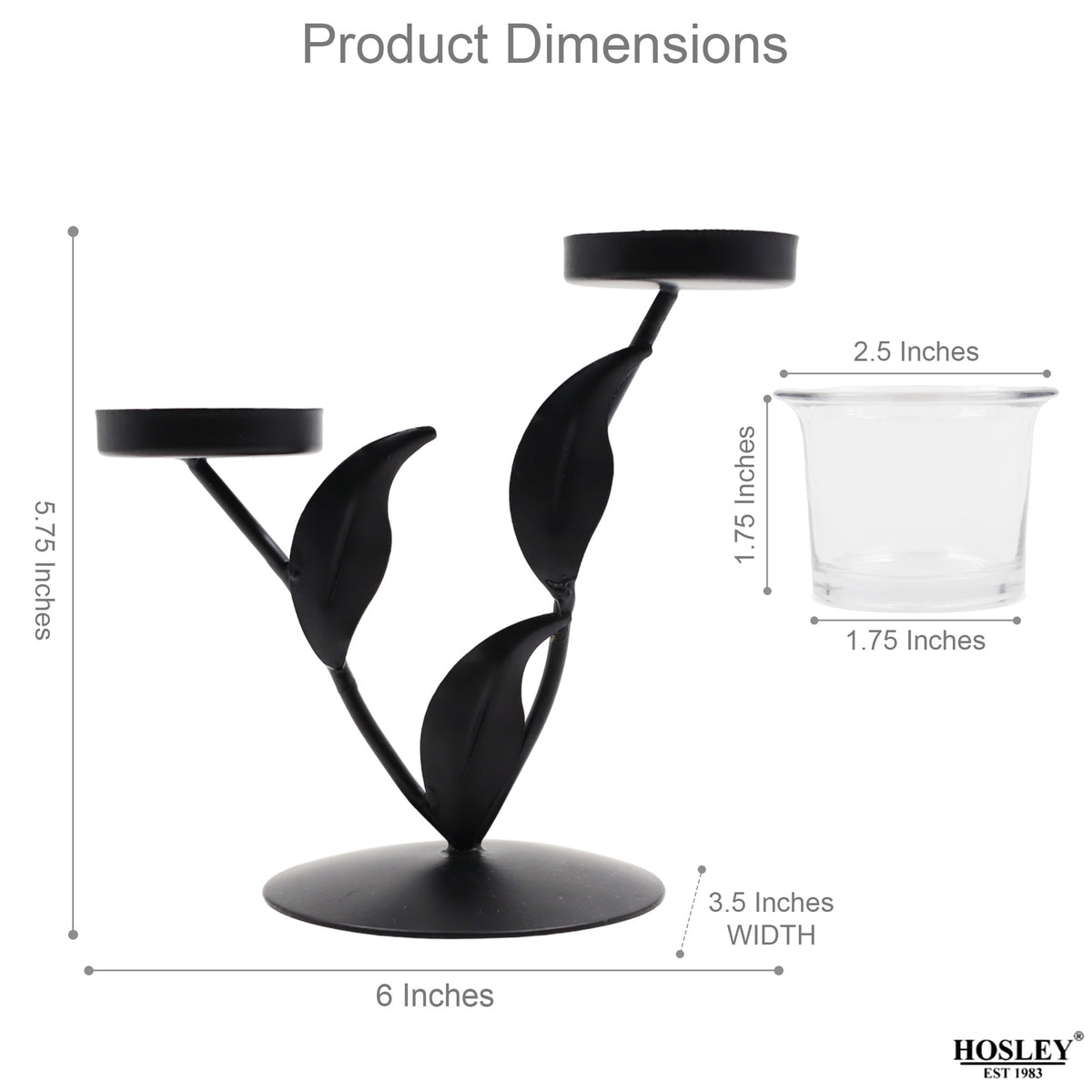 Hosley Trendy Leaves Tealight Holder with 2 Clear Glasses
