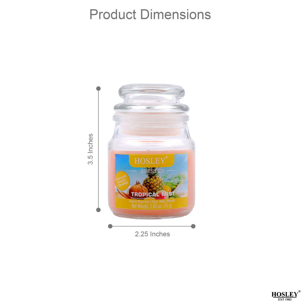 Set of 3 Hosley® Tropical Mist  Highly Fragranced Jar Candles, 2.65 Oz wax each