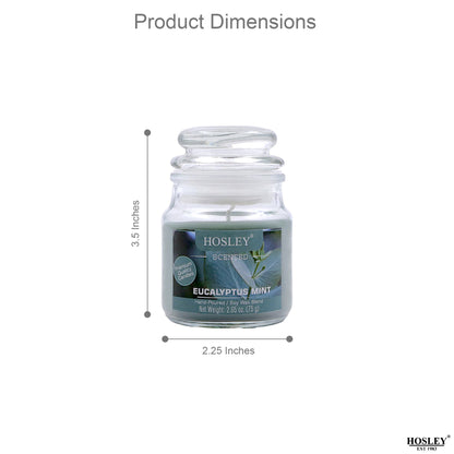 Hosley Set of 2 Eucalyptus Mint 2.65 Oz (75g)