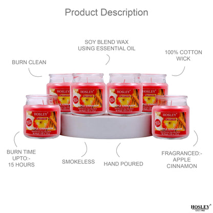 Hosley® Apple Cinnamon Jar Candles - Set of 6
