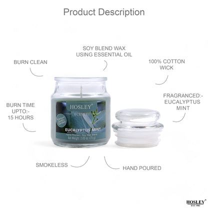 Hosley Eucalyptus Mint Fragranced Jar Candle – 2.65 Oz