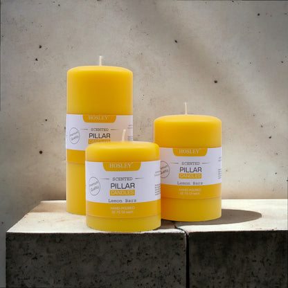 Hosley® Lemon Bar Fragrance Pillar Candles - Set Of 3