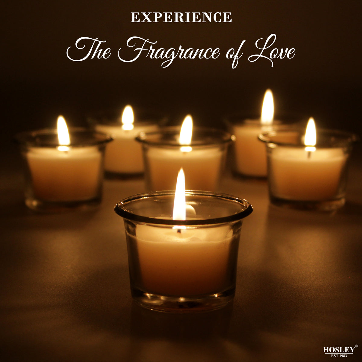Hosley Unscented Votive Glass Candle Holder - Pack of 6, White