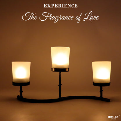 Hosley 29cm Frosted Glass Tealight Holder