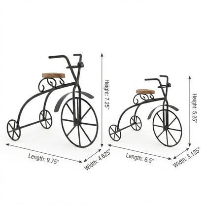 Set of 2 Decorative Metal Bicycle Showpiece