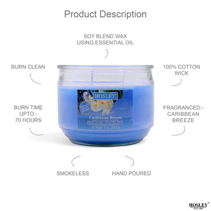 Hosley® Caribbean Breeze Highly Fragranced, 2 Wick, 10 Oz wax, Jar Candle