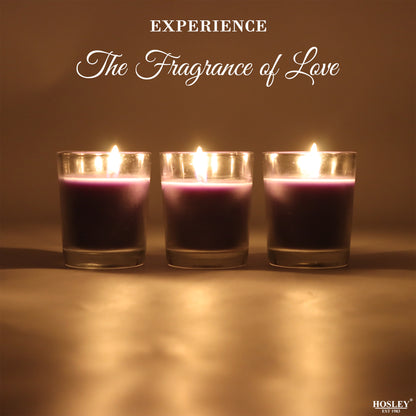 Set of 3 Hosley® Highly Fragranced Lavender Fields Filled Glass Candles, 1.6 Oz wax each