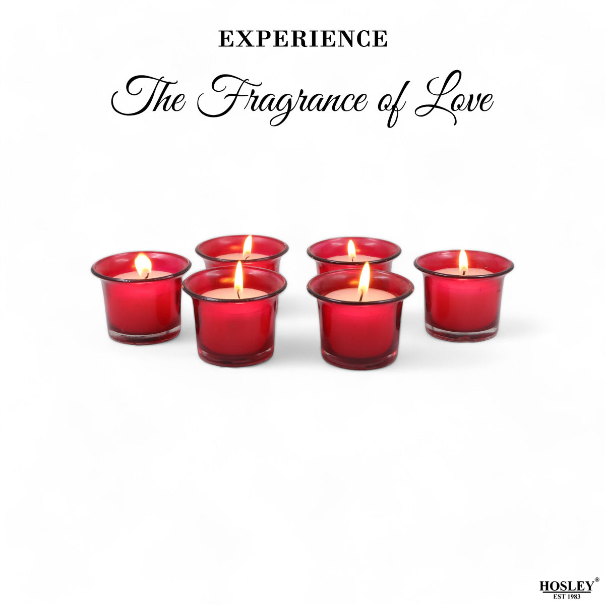 Hosley Highly Fragranced Apple Cinamon Filled Scented Votive Glass Candle Holder - Pack of 6, Red