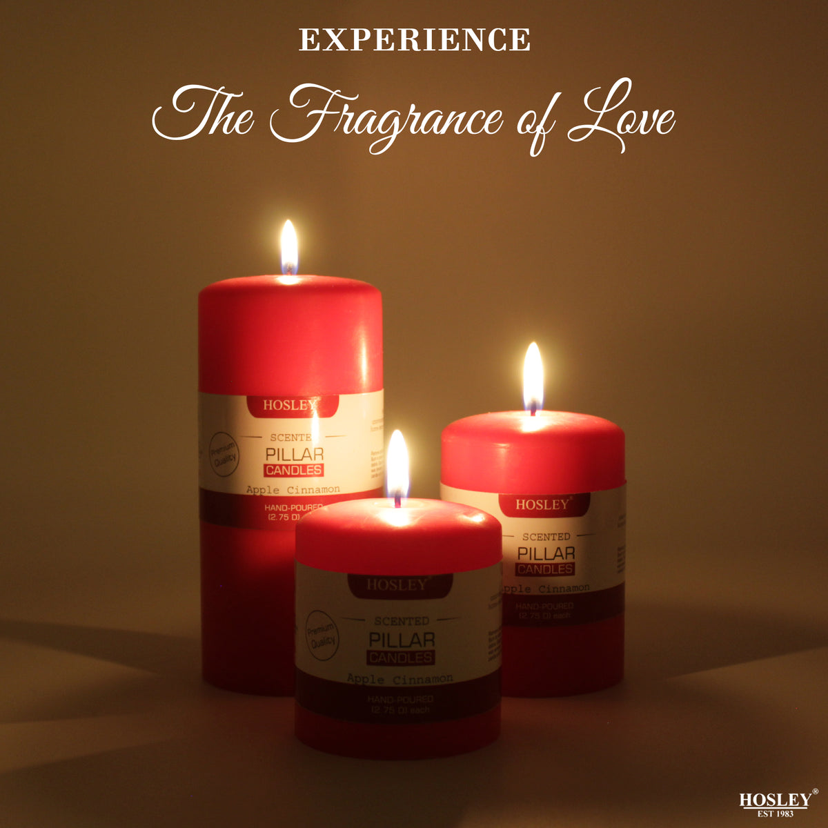 Hosley Set 3 Decorative Cinnamon Highly fragranced Pillar Candle
