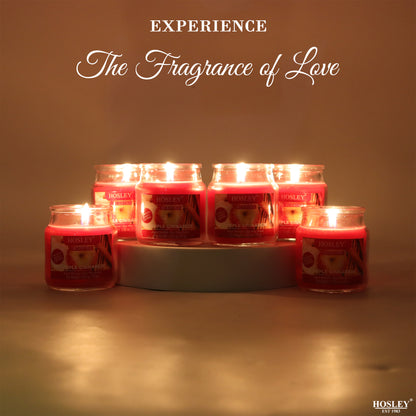 Hosley® Apple Cinnamon Jar Candles - Set of 6