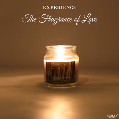 Hosley Fresh Bamboo Fragranced Jar Candle – 2.65 Oz