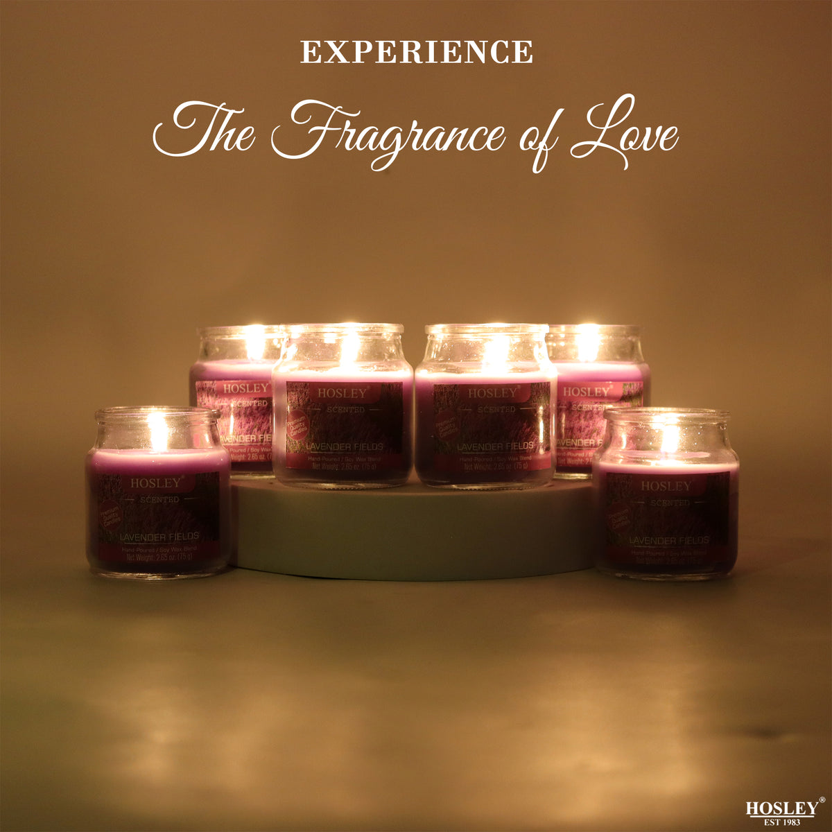 Hosley® Lavender Fields Jar Candles - Set of 6