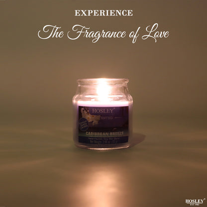 Hosley® Caribbean Breeze Highly Fragranced, 2.65 Oz wax, Jar Candle