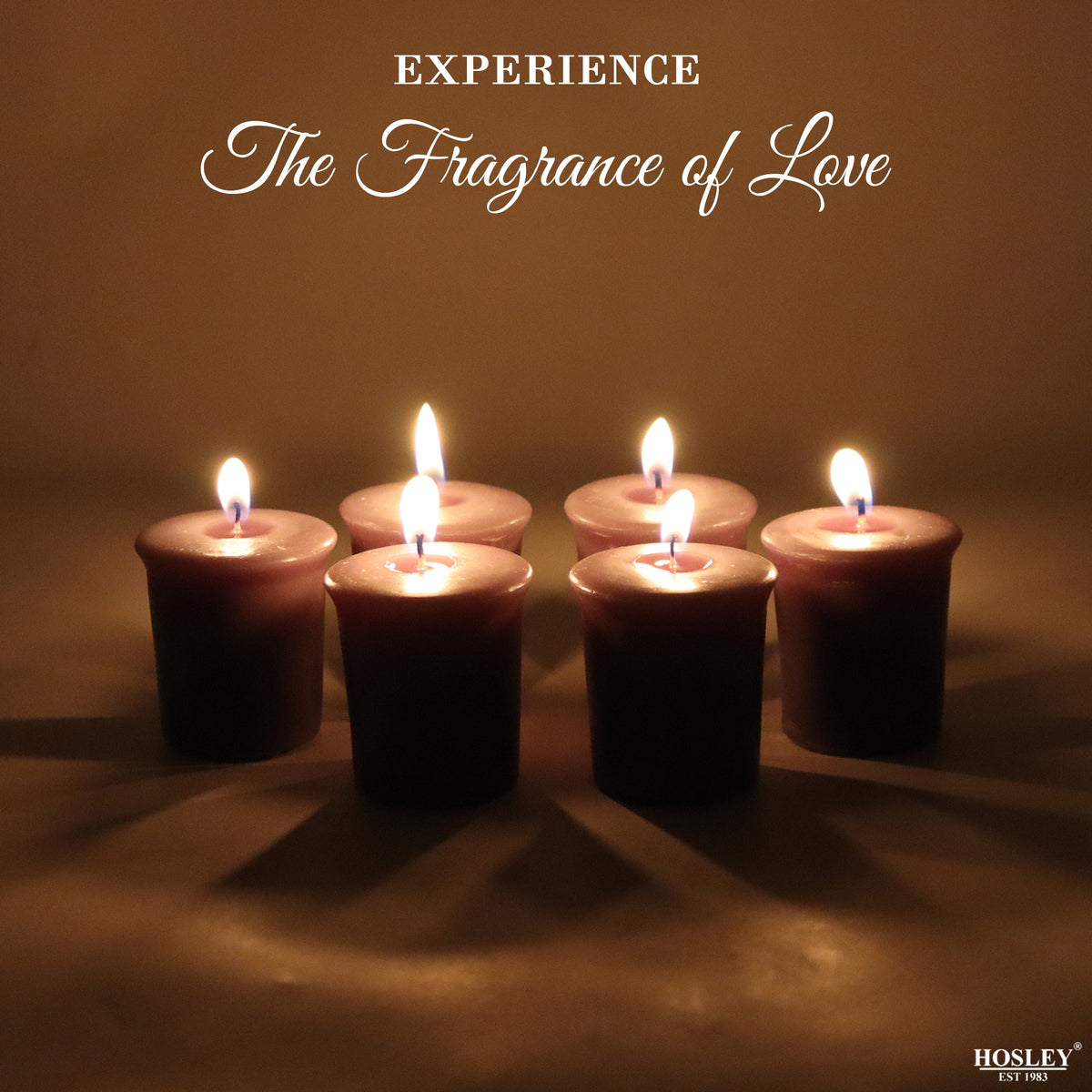 Set of 6 Hosley® 15 Hour Burn Time Each, Eucalyptus Mint Highly Fragranced  Votive Candles