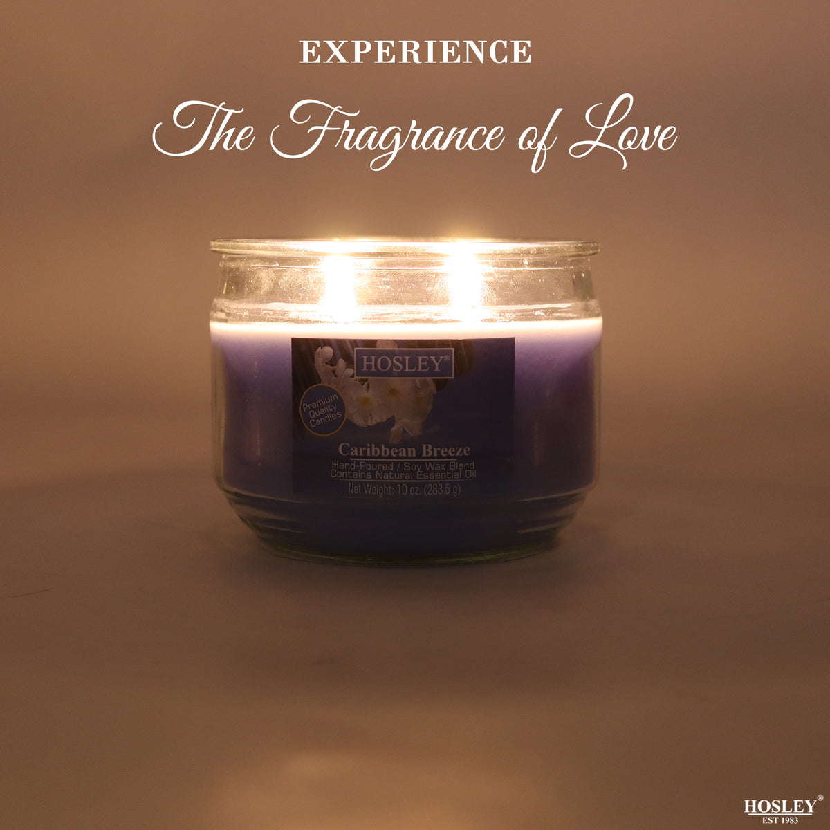 Hosley® Caribbean Breeze Highly Fragranced, 2 Wick, 10 Oz wax, Jar Candle