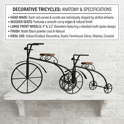 Set of 2 Decorative Metal Bicycle Showpiece