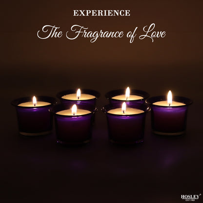 Hosley Highly Fragranced Lavender Filled Votive Glass Candle Holder - Pack of 6, Blue