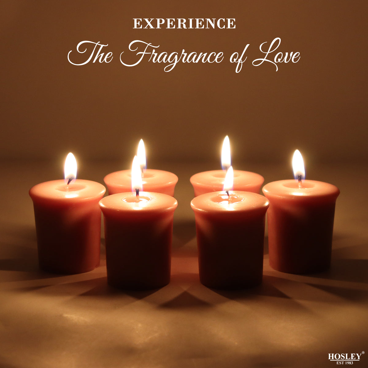 Set of 6 Hosley® 15 Hour Burn Time Each, Hazelnut Creme Highly Fragranced  Votive Candles